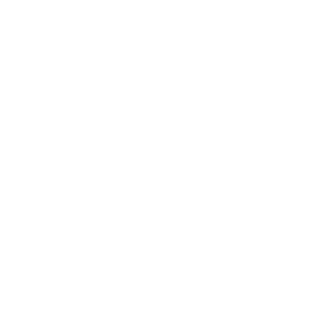 University of Arizona logo with a large stylized letter 'A' and text below reading 'The University of Arizona'.